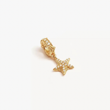 A delicate starfish-shaped charm jewelry piece, featuring intricate textured details and a polished metallic finish, resting on a sandy beach or against a soft blue background (coastal theme). Perfect for bracelets, necklaces, or nautical-inspired accessories.
