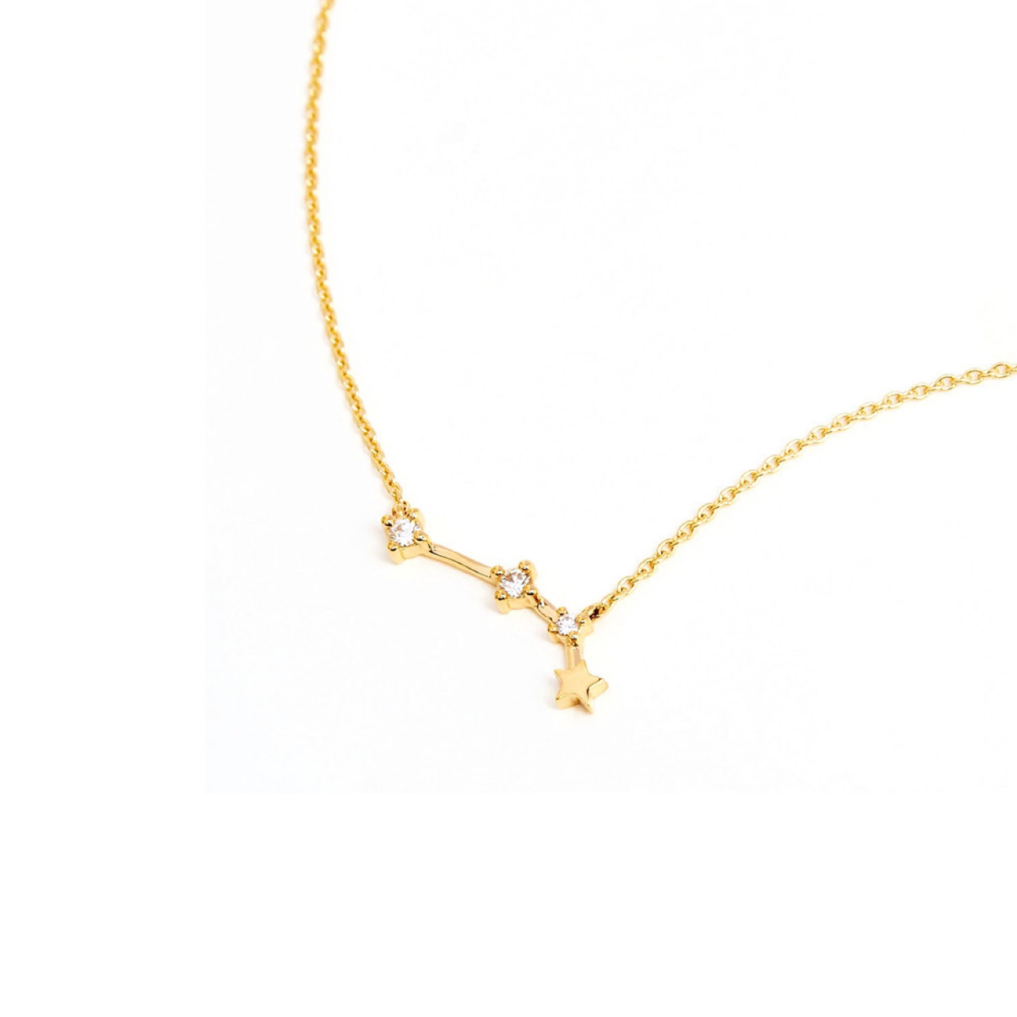 Lily Zodiac Necklace