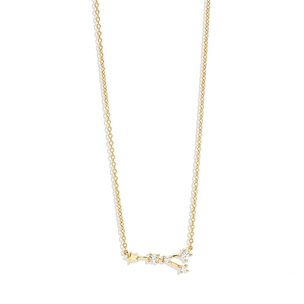 Lily Zodiac Necklace