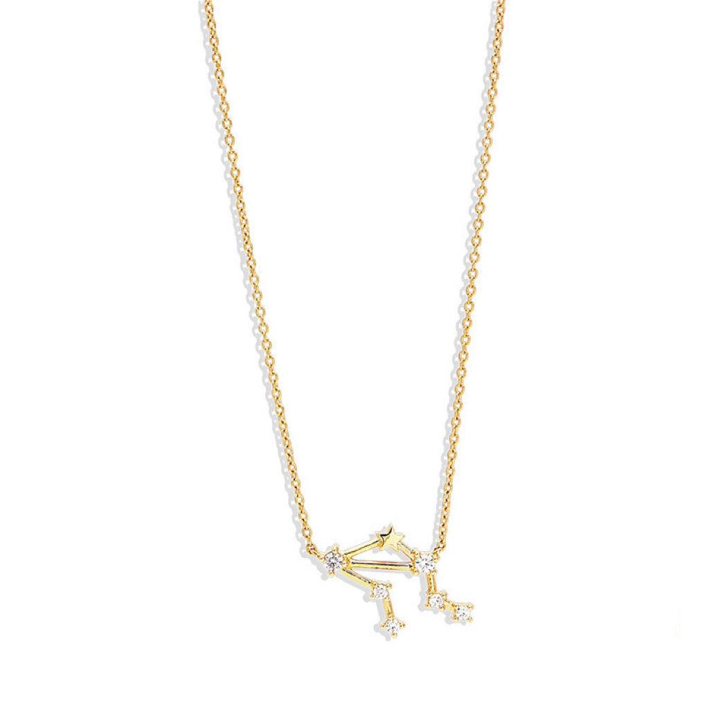 Lily Zodiac Necklace