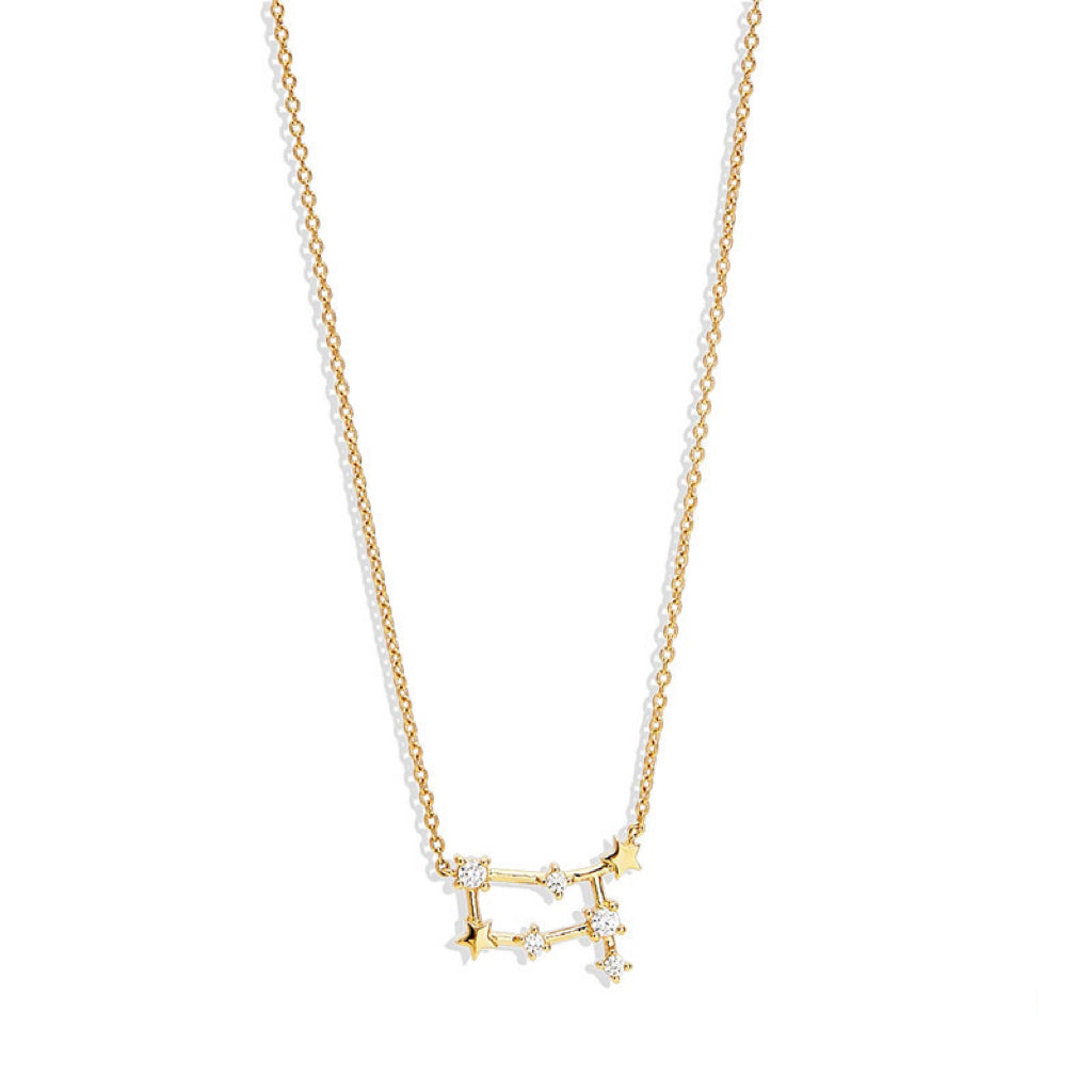 Lily Zodiac Necklace