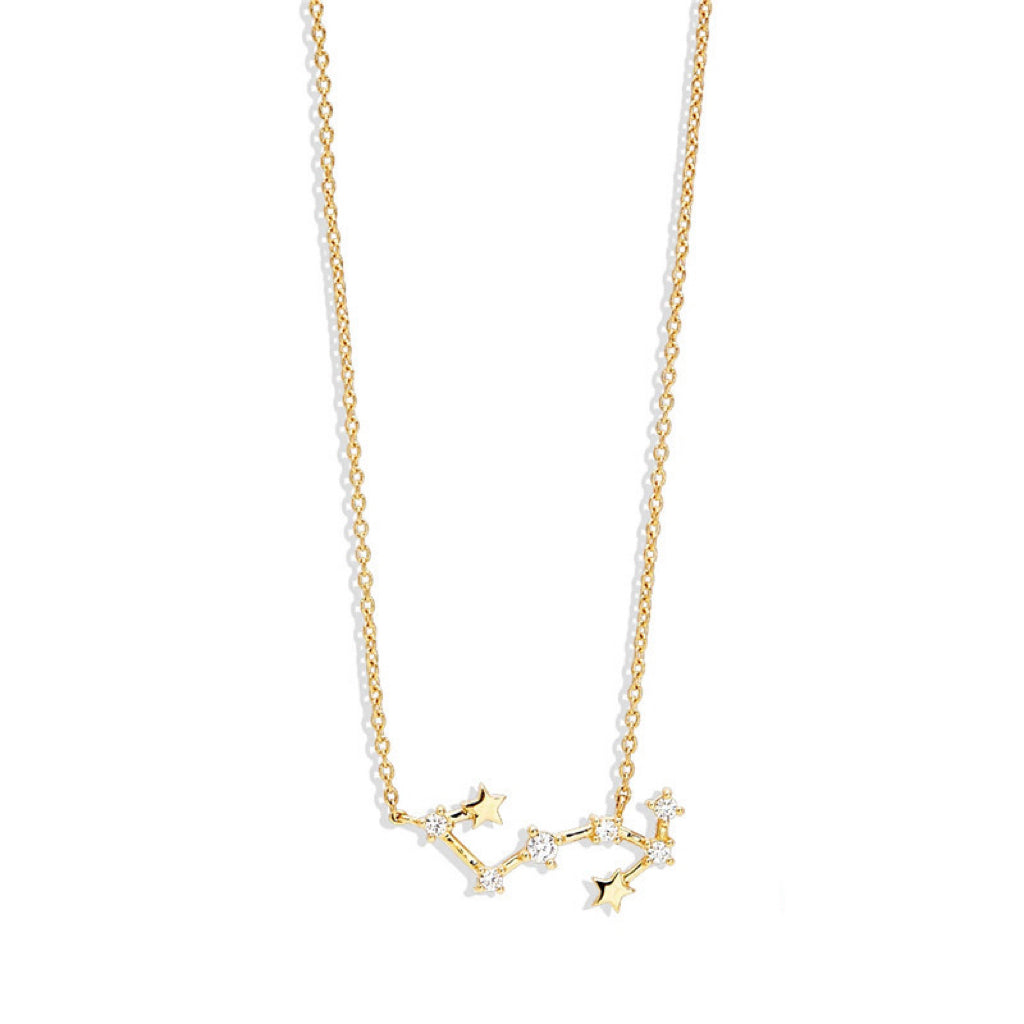 Lily Zodiac Necklace