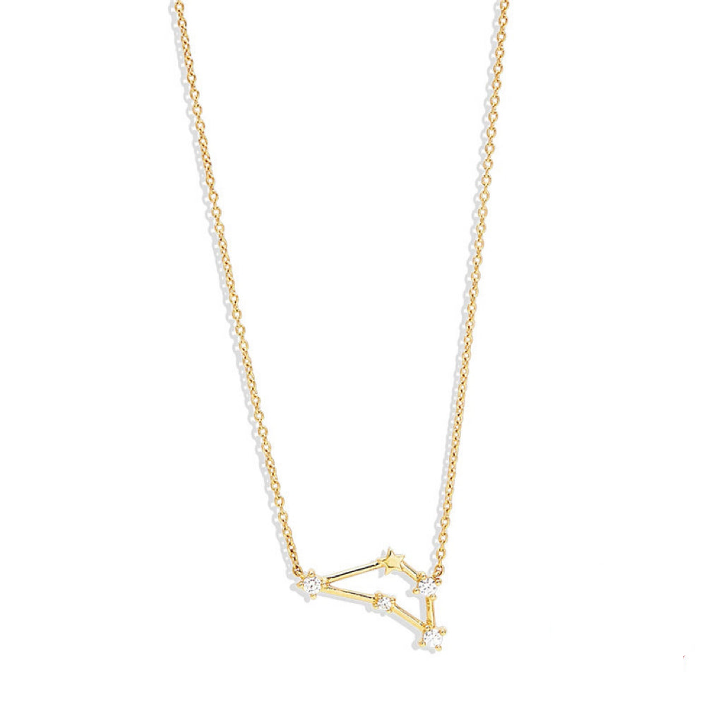 Lily Zodiac Necklace