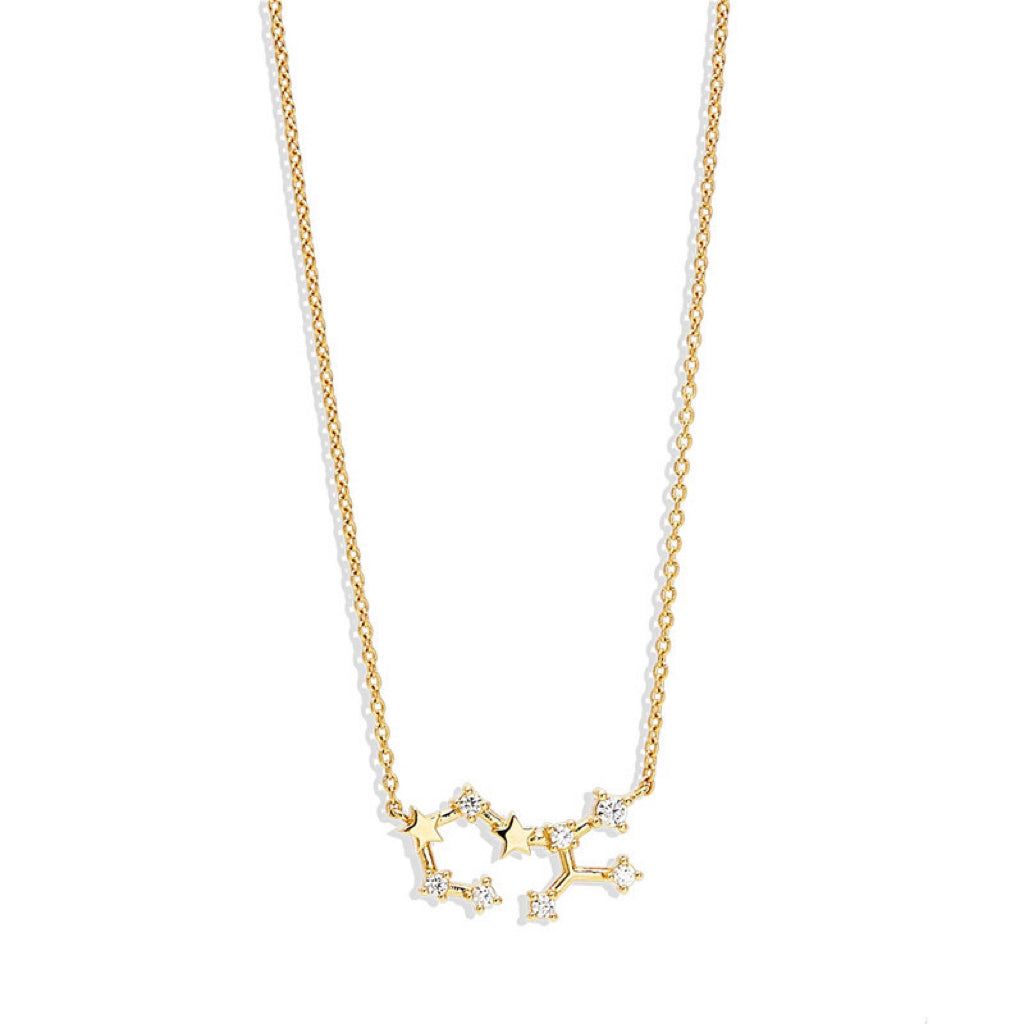 Lily Zodiac Necklace