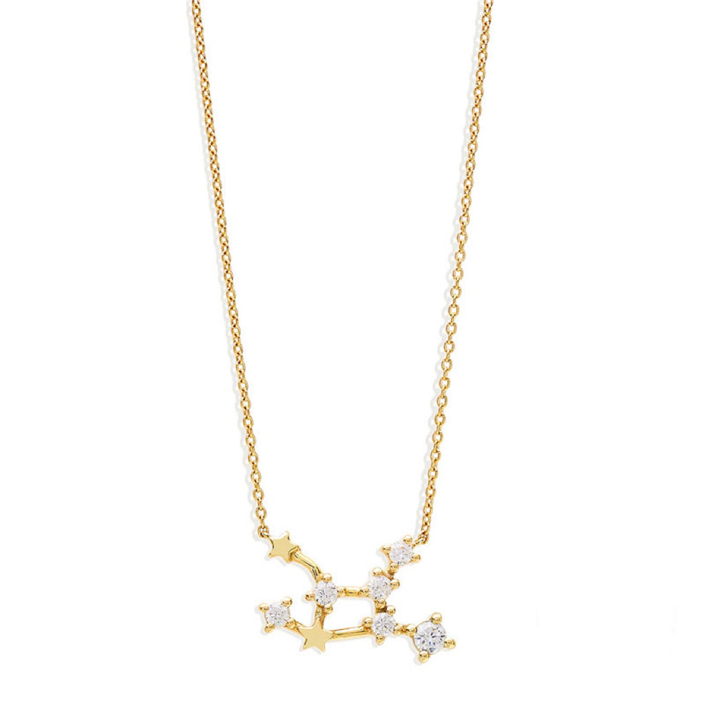 Lily Zodiac Necklace